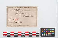 Etiketten zu Bronzebrillenfibel (NHMW-PRAE-023987)
